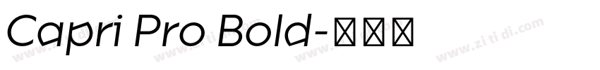 Capri Pro Bold字体转换